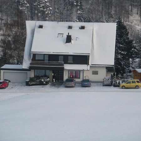 Ferienwohnungen Landhaus Meran Inkl Meinecardplus Willingen  Luaran gambar