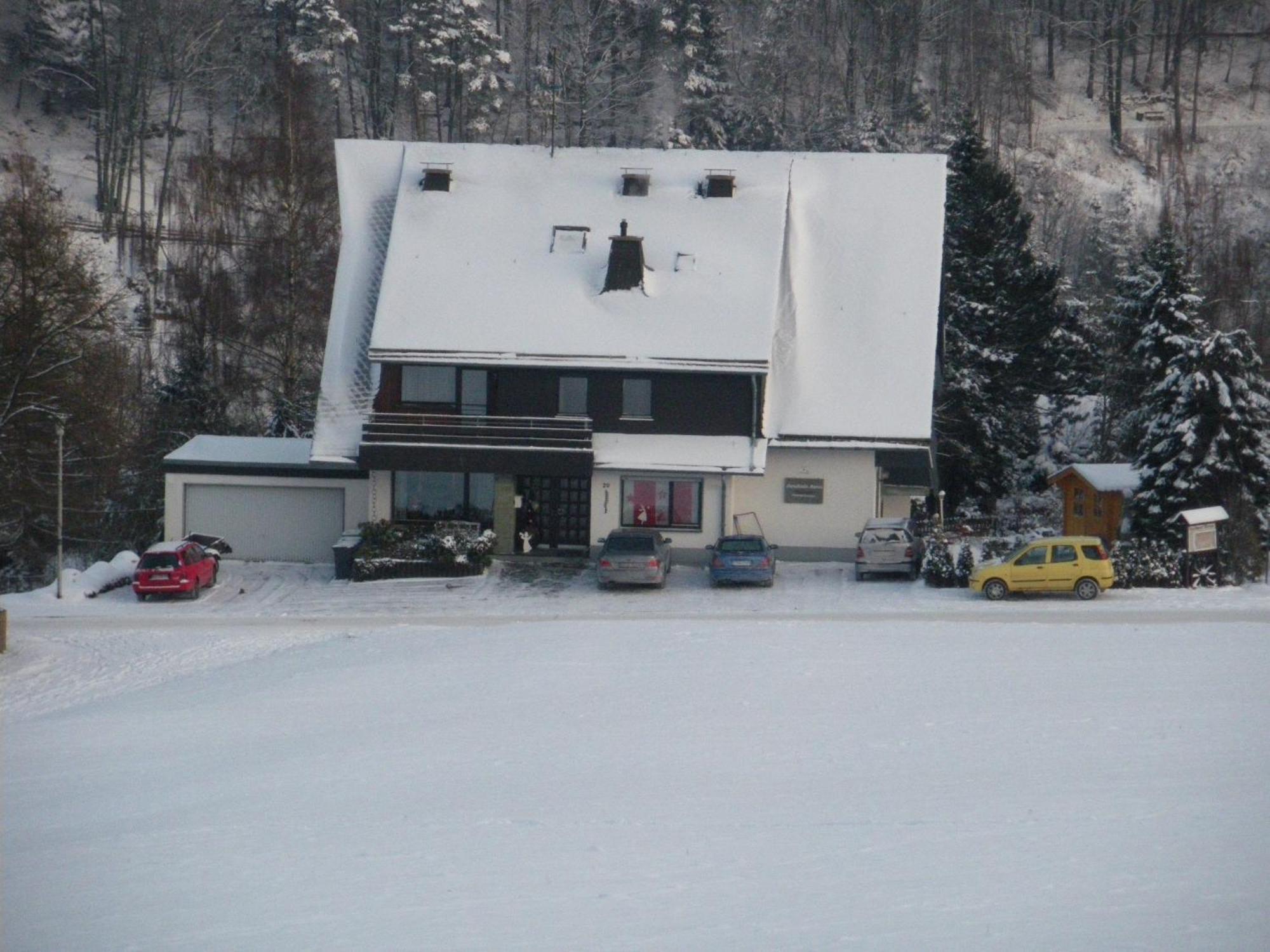 Ferienwohnungen Landhaus Meran Inkl Meinecardplus Willingen  Luaran gambar